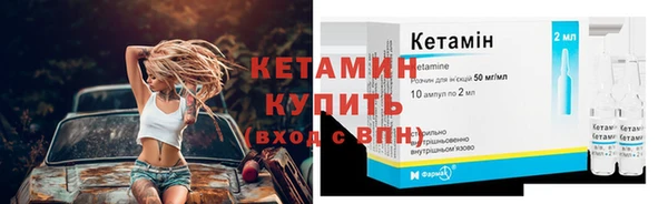 амф Каменка