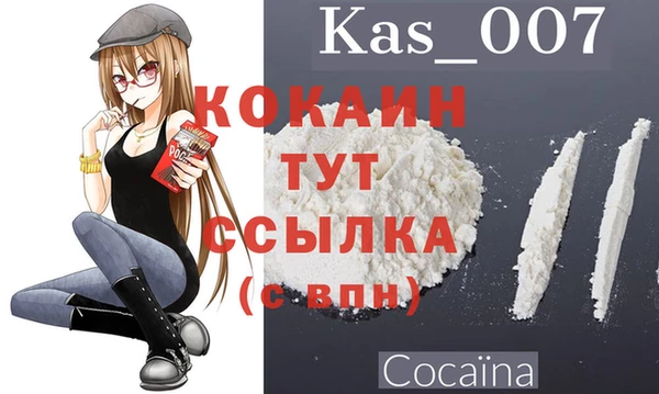 амф Каменка