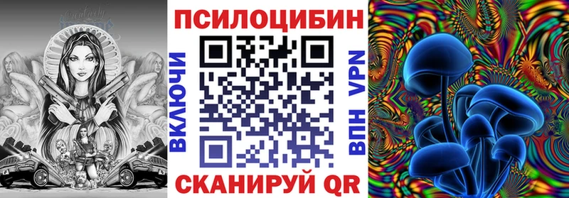 Галлюциногенные грибы мицелий Купить где Балашов